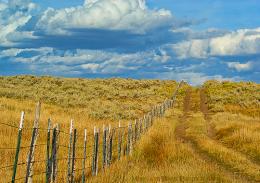 Path to heaven